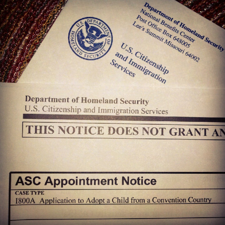 What's the Deal with USCIS? | Red Thread Advocates